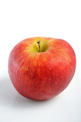 Two apples on white background