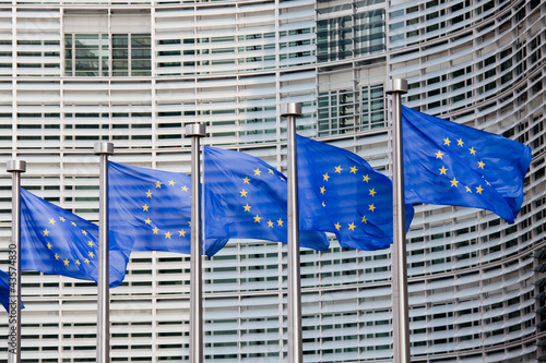 Fototapeta na wymiar European flags in Brussels