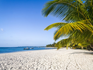 Wall Mural - White sand beach