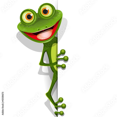 Naklejka - mata magnetyczna na lodówkę jolly green frog