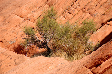 Valley of Fire State Park, Las Vegas, NV