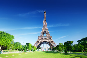 Poster - sunny morning and Eiffel Tower, Paris, France
