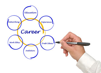 Wall Mural - Diagram of career success