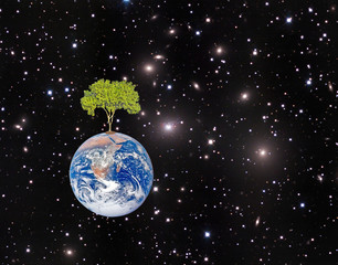 Wall Mural - Earth.Elements of this image furnished by NASA