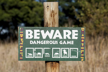 Beware Of Dangerous Game