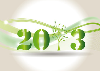 New Year 2013