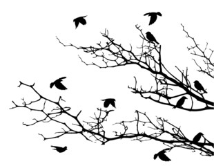 beautiful tree silhouette with bird flying