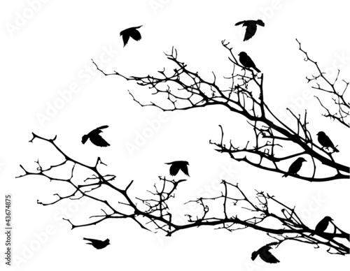 Plakat na zamówienie beautiful tree silhouette with bird flying