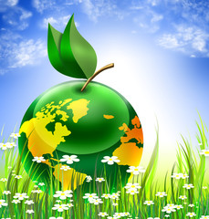 globe on the green grass