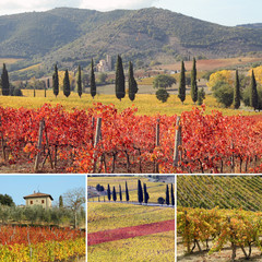 Wall Mural - collage with fantastic landscape of vineyards in Tuscany in autu