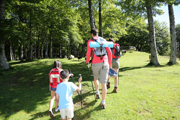 Wall Mural - Back view of family walking in mountain forest