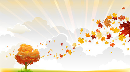 Wall Mural - autumn tree
