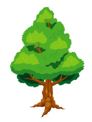 Large tree vector