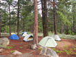 Tents in a Forest