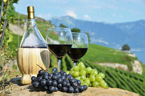 Tapeta ścienna Czerwone wino i winogrona. 