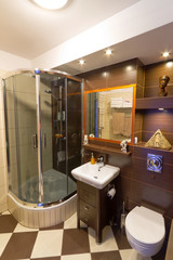 Modern brown bathroom interior