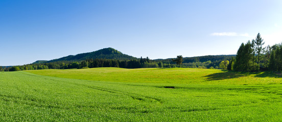 Wall Mural - Panorama with green meadow