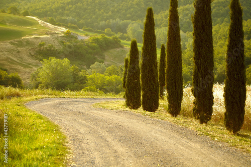 Tapeta ścienna Typowy krajobraz w val d'orcia (Toskania, Włochy) w lecie. 