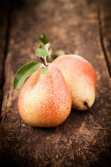 Freshly harvested ripe red pears