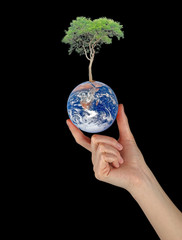 Wall Mural - Planet earth as symbol of nature conservation.Elements of this i