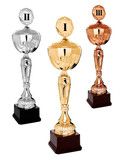 Fototapeta  - Championship trophies