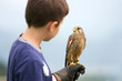 a youngster holding a hawk