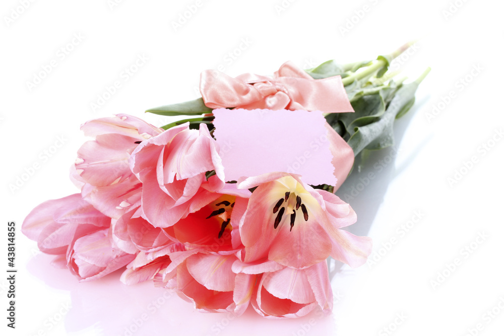 beautiful pink tulips isolated on white.