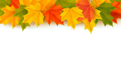 Poster - Autumn background with leaves  Back to school  illustration