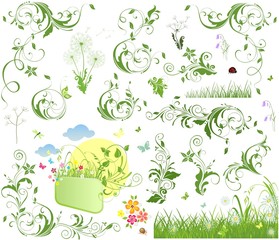 Wall Mural - Floral design elements