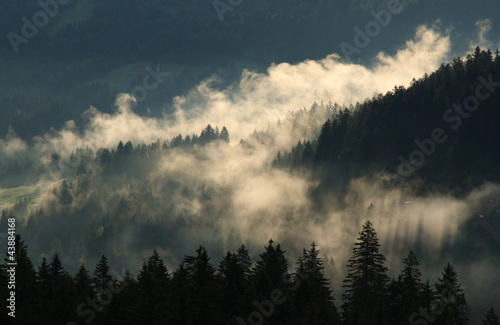 Naklejka samoprzylepna Chmury i forrest