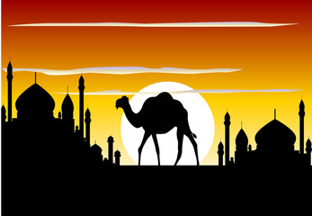 camel trip with mosque background