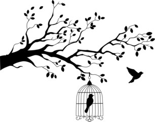 Tree silhouette with bird flying