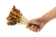 © WONG SZE FEI - Fresh satay chicken