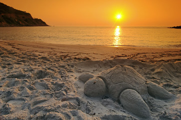 Poster - Tortue de sable sur la plage de méditerranée, Conca