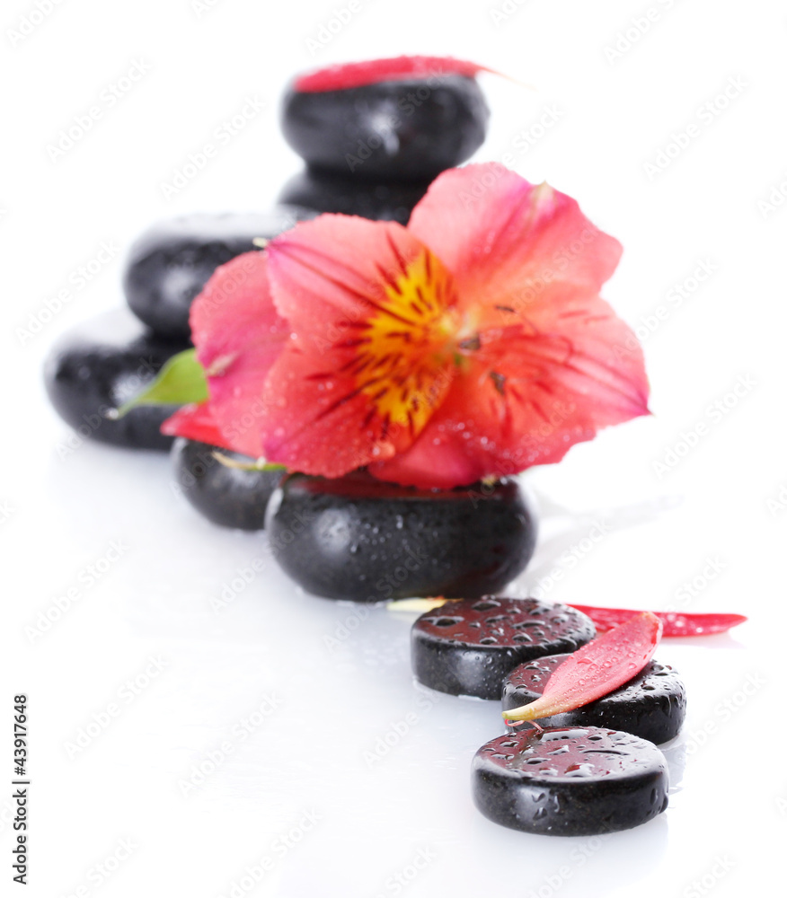 Spa stones with drops, red flower and petals isolated on white