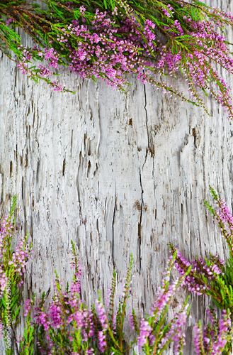 Naklejka dekoracyjna Heather on the old wood