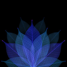 Skeleton Leaf Abstract Background
