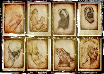 Sticker - human body, eight drawings, vintage processing