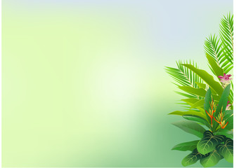 tropical forest background