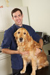 © Monkey Business - Male Veterinary Surgeon Holding Dog In Surgery