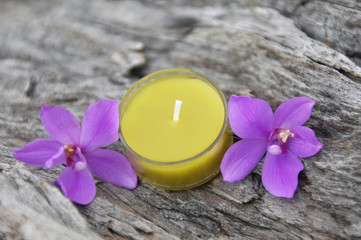 Beautiful two flower and candle with wood texture