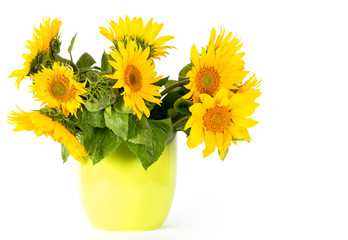 Canvas Print - fresh sunflowers in a green pot