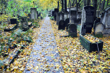 Old Graves At Historic Jewish Cemetery In Warsaw, Poland