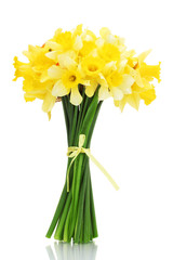 Wall Mural - beautiful bouquet of yellow daffodils isolated on white