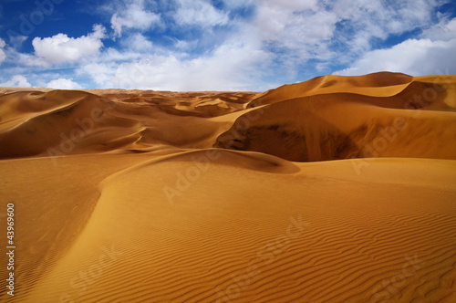 Foto-Vorhang - Wüstenlandschaft (von Light Impression)