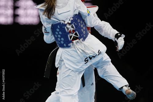 Naklejka samoprzylepna Taekwondo