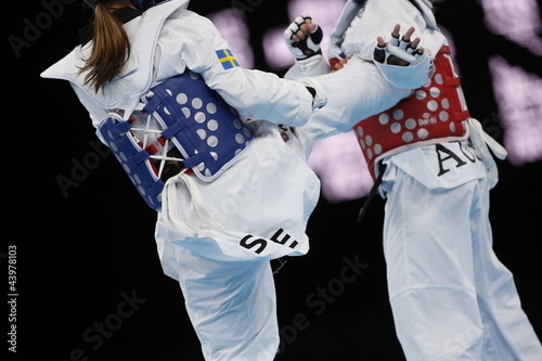 Naklejka samoprzylepna Taekwondo