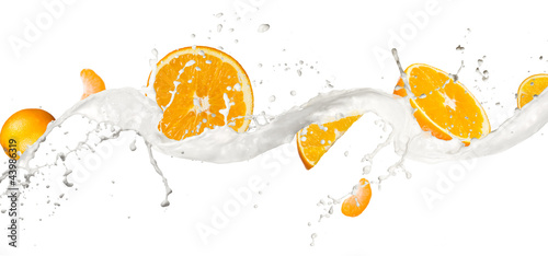 Plakat na papierze fotorealistycznym Pomarańcze w splash mleka, na białym tle