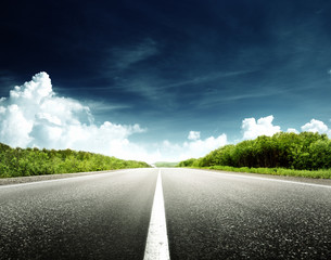 Wall Mural - road in forest