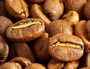 Poster - coffee beans